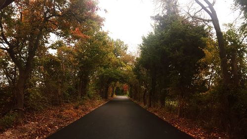 Road passing through trees