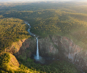 High angle view of waterfall in forest