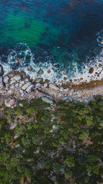 Aerial view of beach