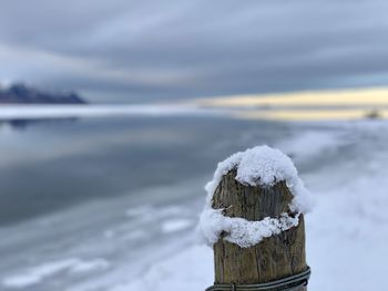 Close-up of frozen wooden post in snow