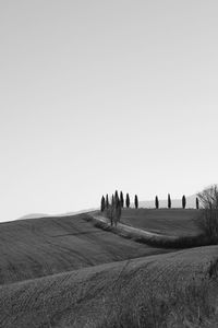 People on field against clear sky