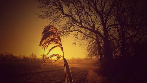 Scenic view of landscape against sky during sunset