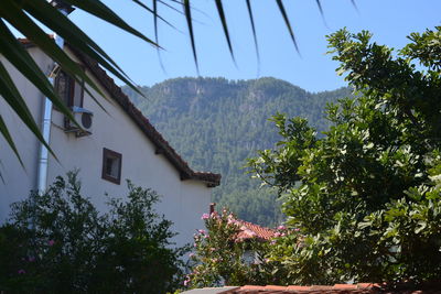Houses and trees against sky