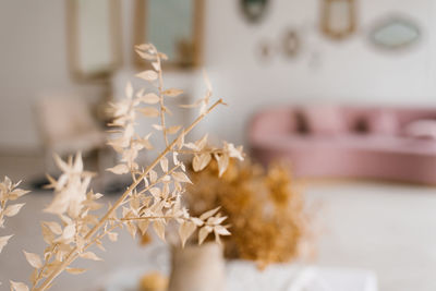 Dried flowers on a blurry background of a classic living room