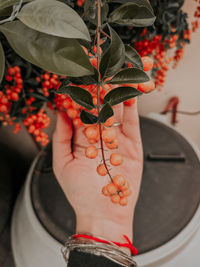 Midsection of woman holding red leaves