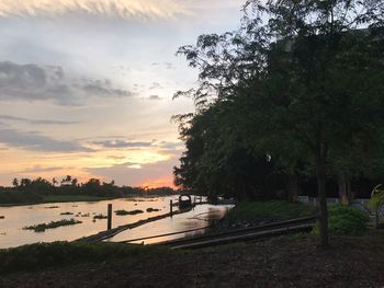 Scenic view of trees against sky during sunset