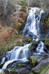 Scenic view of waterfall in forest