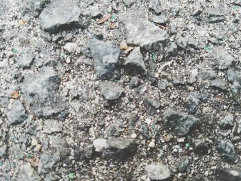 Full frame shot of stone wall