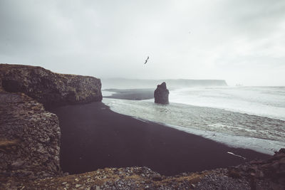 High angle view of seagull on beach