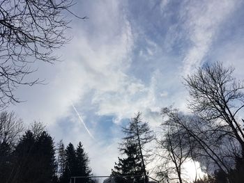 Low angle view of silhouette trees against sky