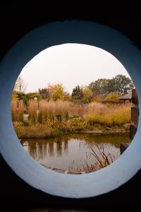 Reflection of trees in lake seen through hole