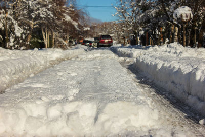 Road in winter