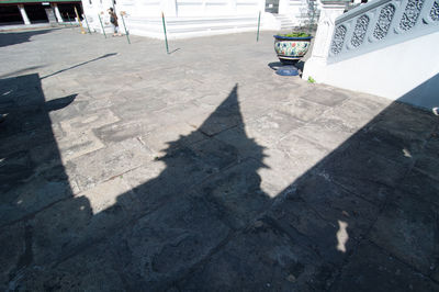 High angle view of shadow on street