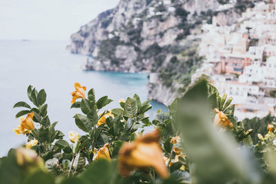 Scenic view of sea and rocks