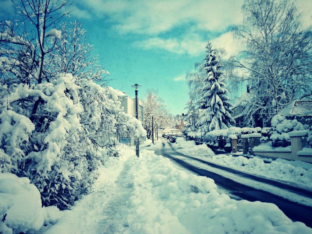 snow, cold temperature, winter, season, weather, covering, frozen, sky, bare tree, white color, tree, covered, nature, tranquility, tranquil scene, snow covered, cloud - sky, beauty in nature, scenics, landscape