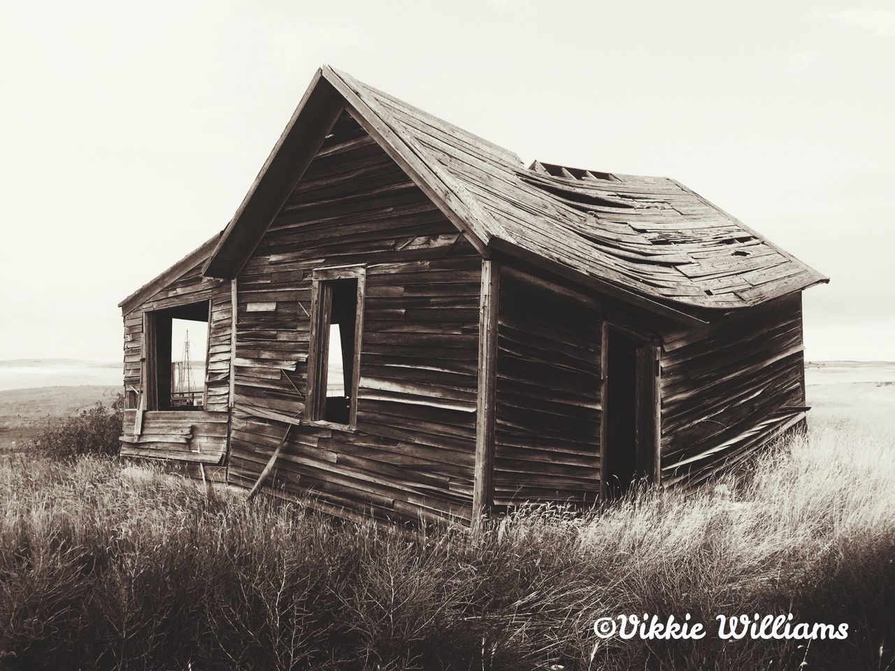 built structure, wood - material, architecture, building exterior, clear sky, abandoned, sky, grass, field, day, house, old, outdoors, tranquility, wooden, hut, nature, no people, obsolete, tranquil scene