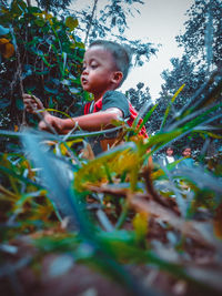 Boy playing with plants