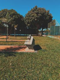 View of trees in park