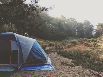 Tent on field against trees in forest