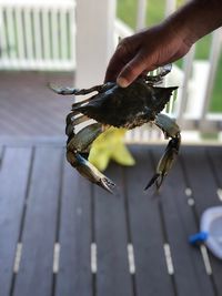 Close-up of hand eating food