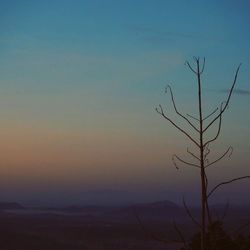 Silhouette of tree against sky during sunset