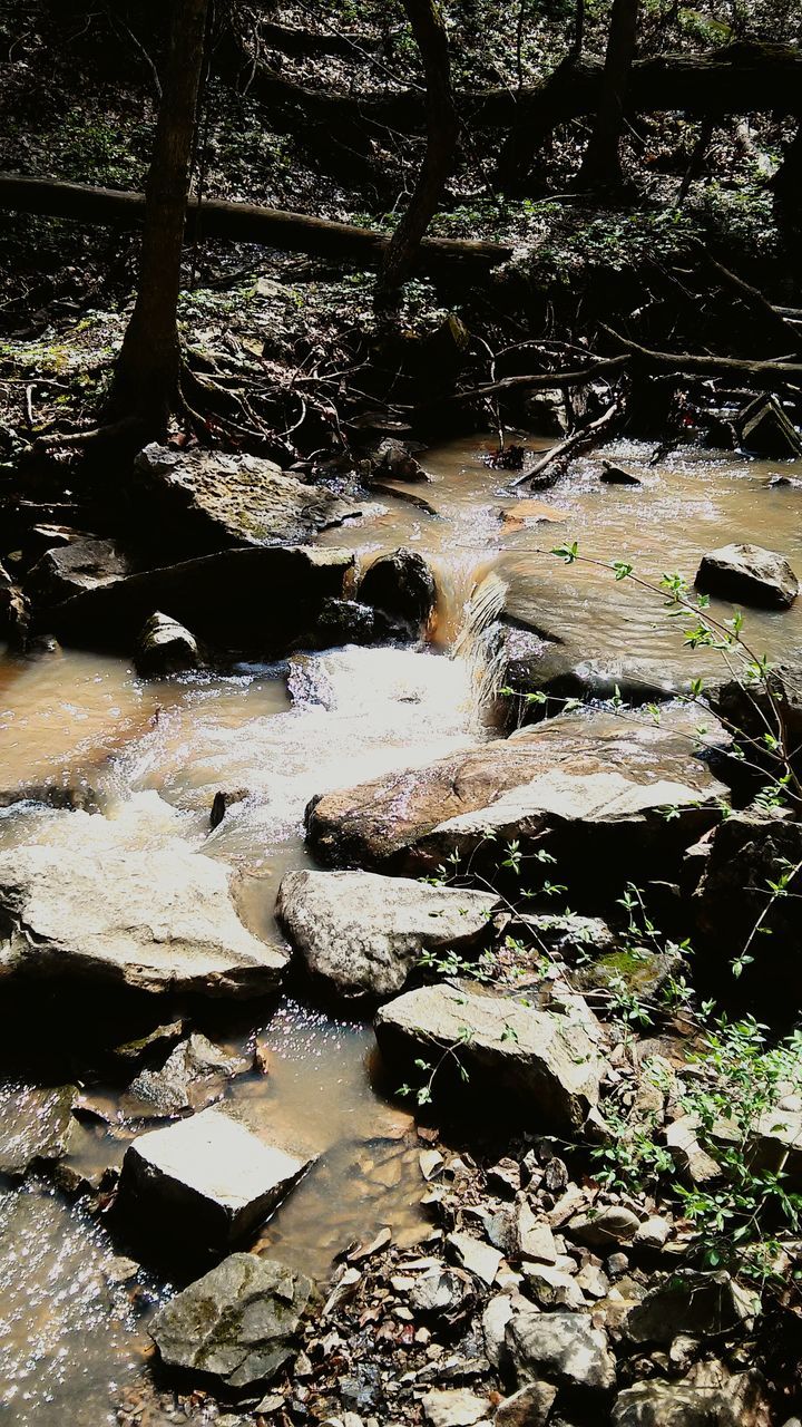 water, tree, tranquility, nature, forest, rock - object, stream, branch, river, beauty in nature, tranquil scene, scenics, growth, day, sunlight, outdoors, no people, plant, stone - object, flowing water