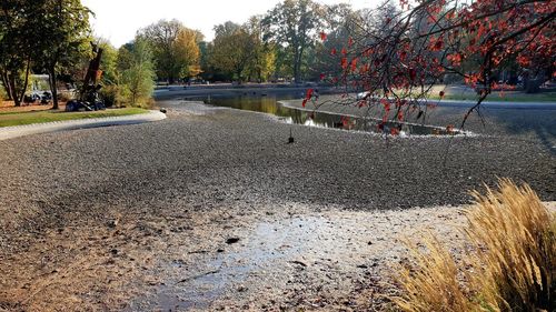 Road in park during autumn