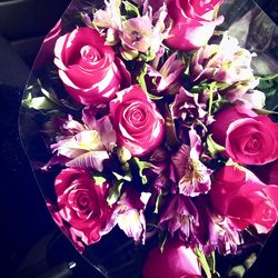 Close-up of pink roses