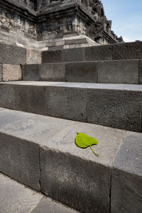 High angle view of stone wall