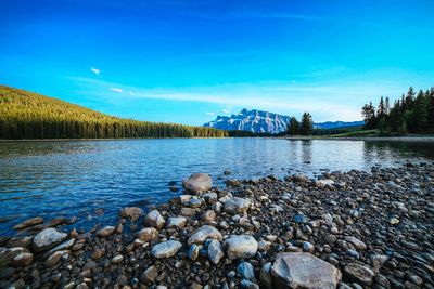 Scenic view of lake against blue sky