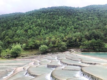 High angle view of water flowing in forest