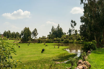 Scenic view of lake against sky