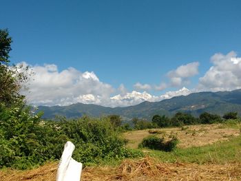 Scenic view of field against sky