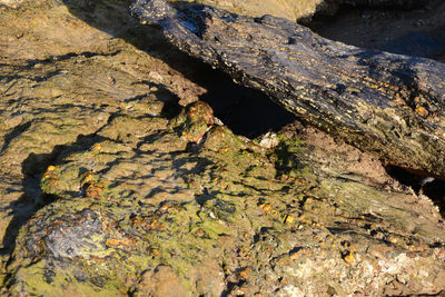 Close-up of rock formation