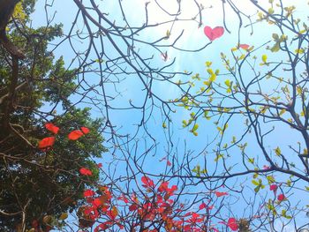 Low angle view of tree against sky