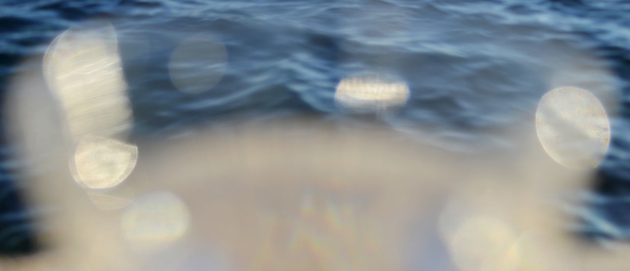 HIGH ANGLE VIEW OF JELLYFISH IN SEA