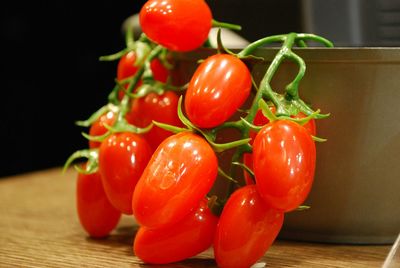 Close-up of tomatoes growing on table