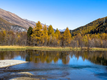 Scenic view of lake by trees against clear sky