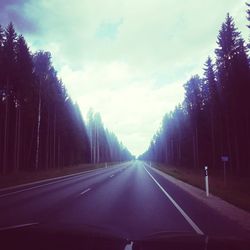 Country road along trees