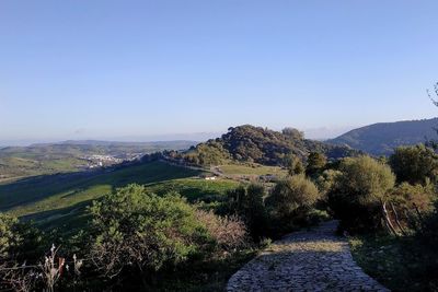 Scenic view of landscape against clear blue sky