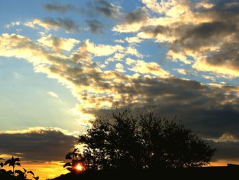 Silhouette of trees against cloudy sky