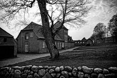 Bare trees and houses against sky