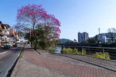 Road passing through city