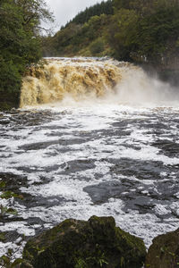 Scenic view of waterfall