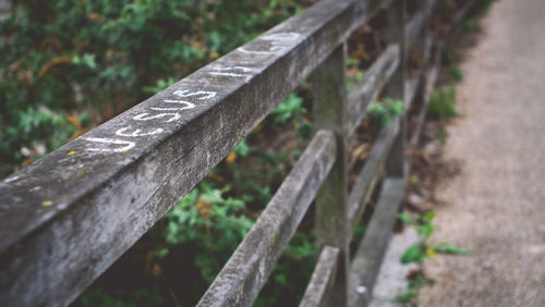 Close-up of wooden plank