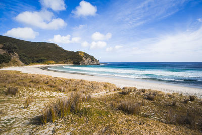 Scenic view of beach