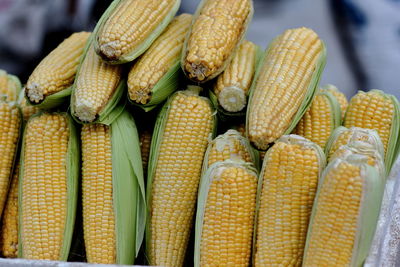 Close-up of corn