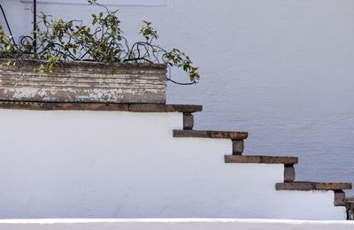 Potted plant by lake against wall during winter