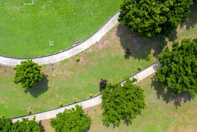 High angle view of formal garden