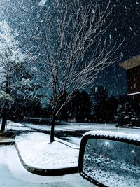 Snow covered trees by car during winter